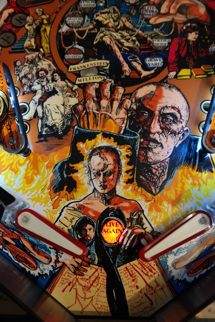 Mary Shelley's Frankenstein Pinball Machine Pinball Led